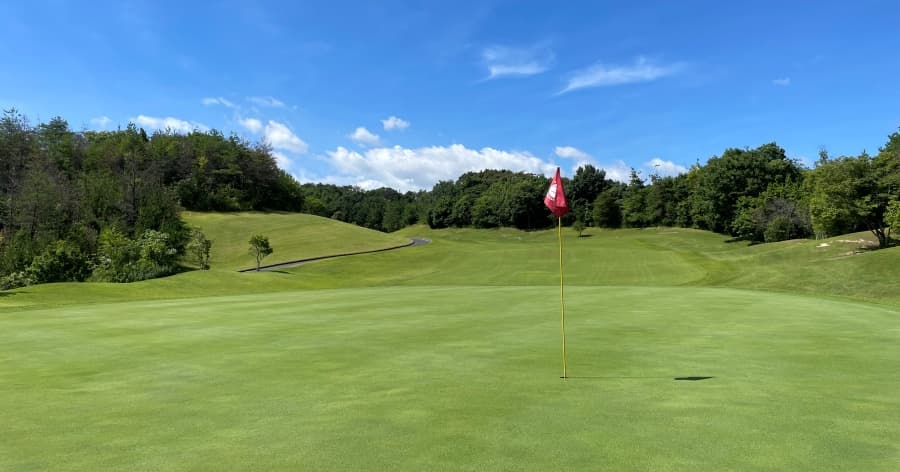 Cover Image for 高麗グリーンとベントグリーンの違いとは?打ち方や攻略法を解説!