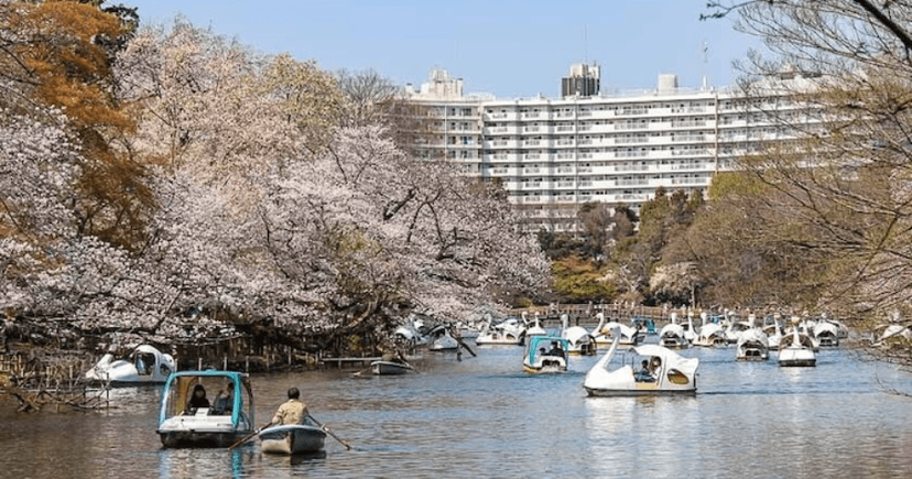 練馬区でおすすめのゴルフ練習場(打ちっぱなし)9選!のカバー画像