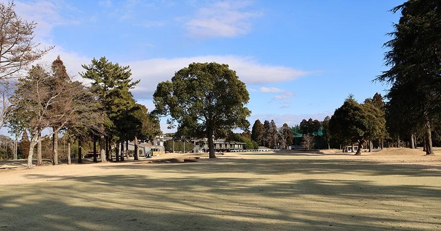 Cover Image for 【ゴルフ場レビュー】ザ ナショナルカントリー倶楽部 千葉(市原市)