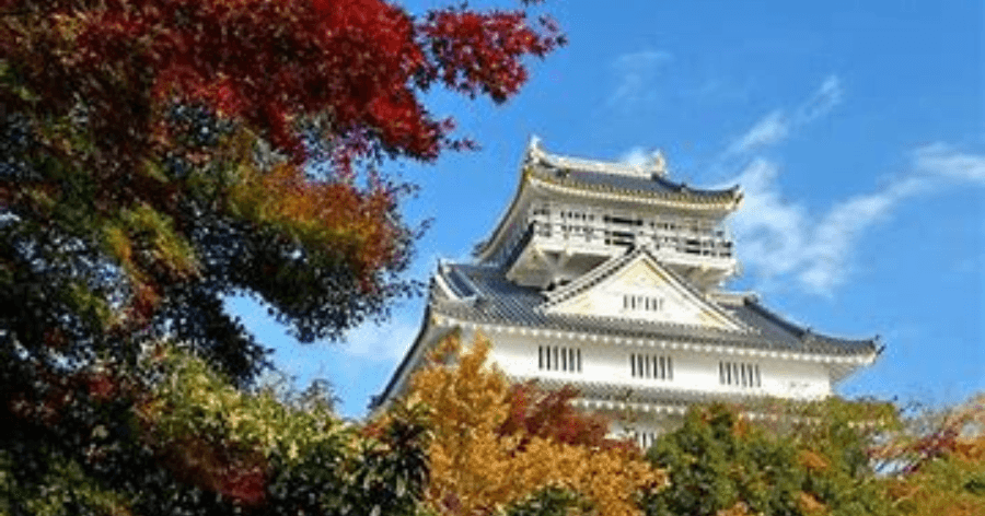 Cover Image for 岐阜県のおすすめゴルフレッスン16選!初心者向けで安い!