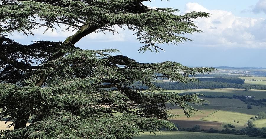 Cover Image for 花粉症がつらすぎる……。より快適かつスマートに春ゴルフを楽しむ方法