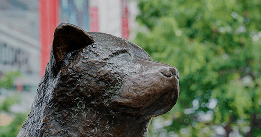 Cover Image for 渋谷区のおすすめゴルフレッスン11選!【初心者向けで安い】