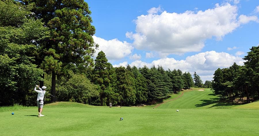 Cover Image for 【ゴルフ場レビュー】姉ヶ崎カントリー倶楽部・西コース(市原市)