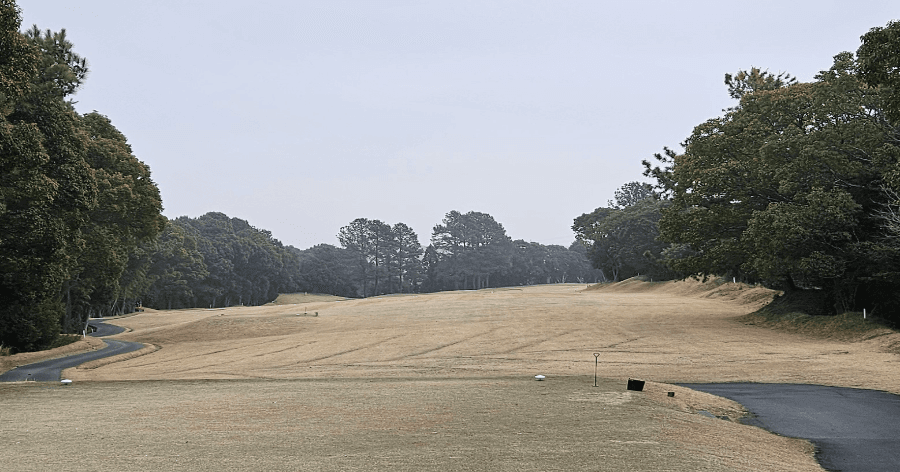 Cover Image for 【ゴルフ場レビュー】大神戸ゴルフ倶楽部 摩耶コース(神戸市)